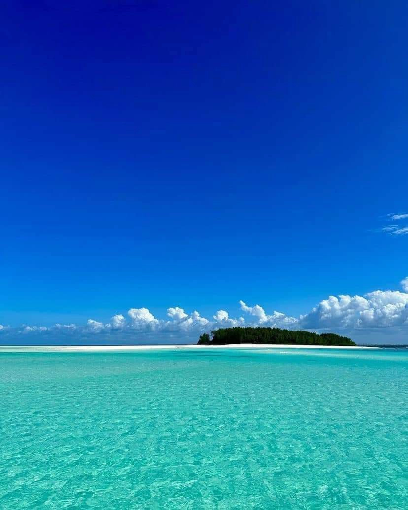 Isola di Mnemba con Tour dei Delfini photo