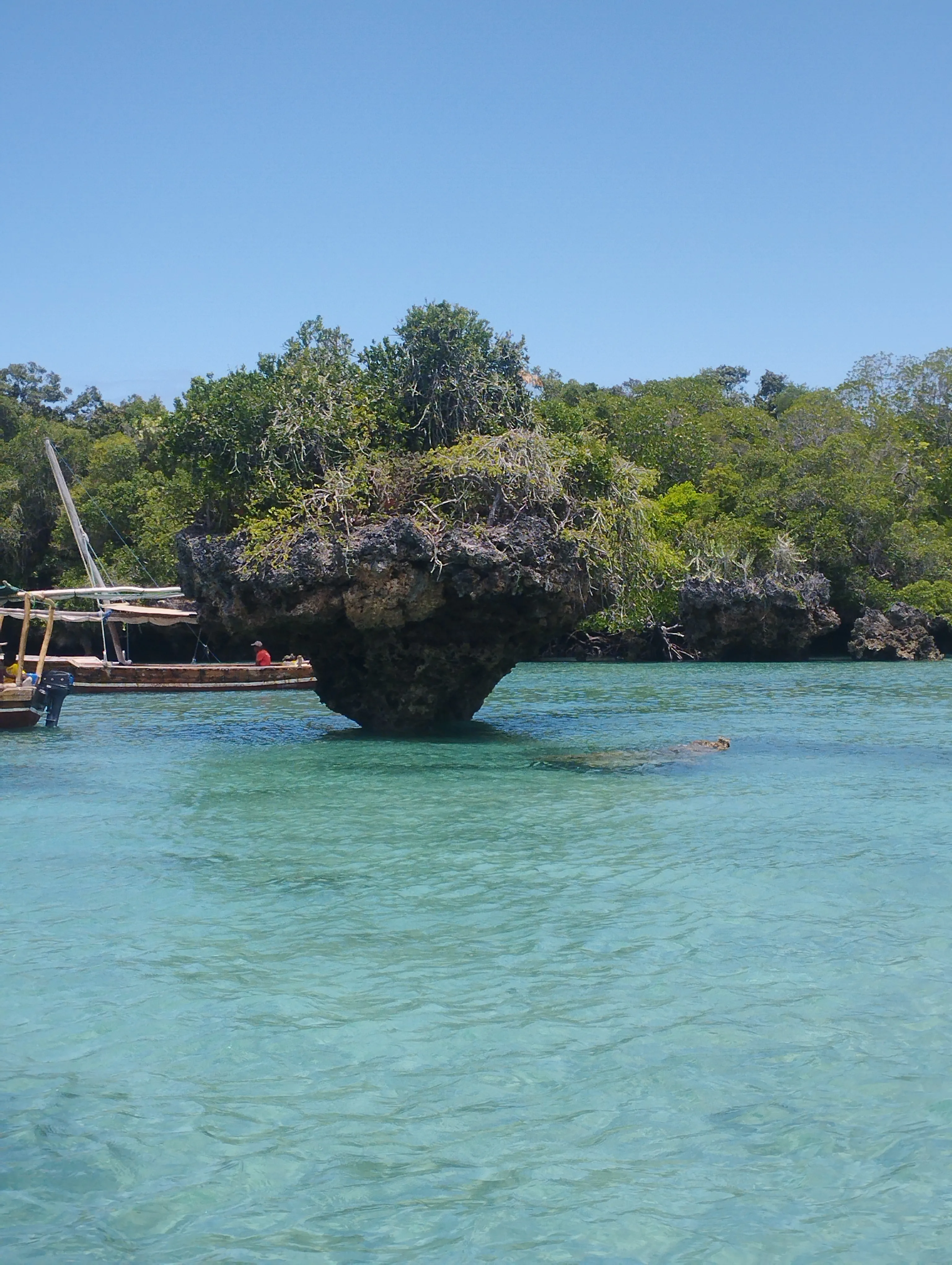 Safari Blue Tour photo