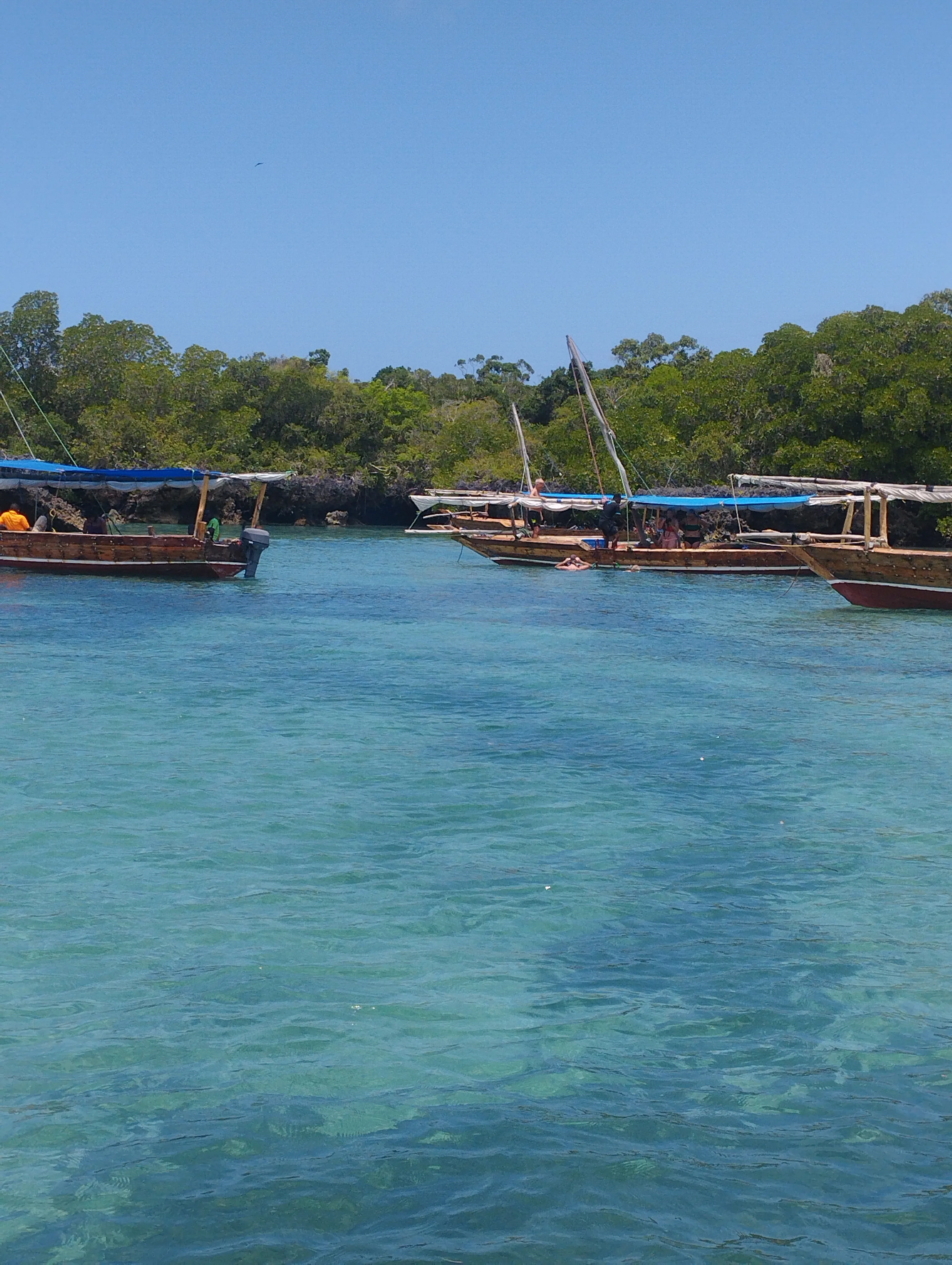 Safari Blue Tour photo