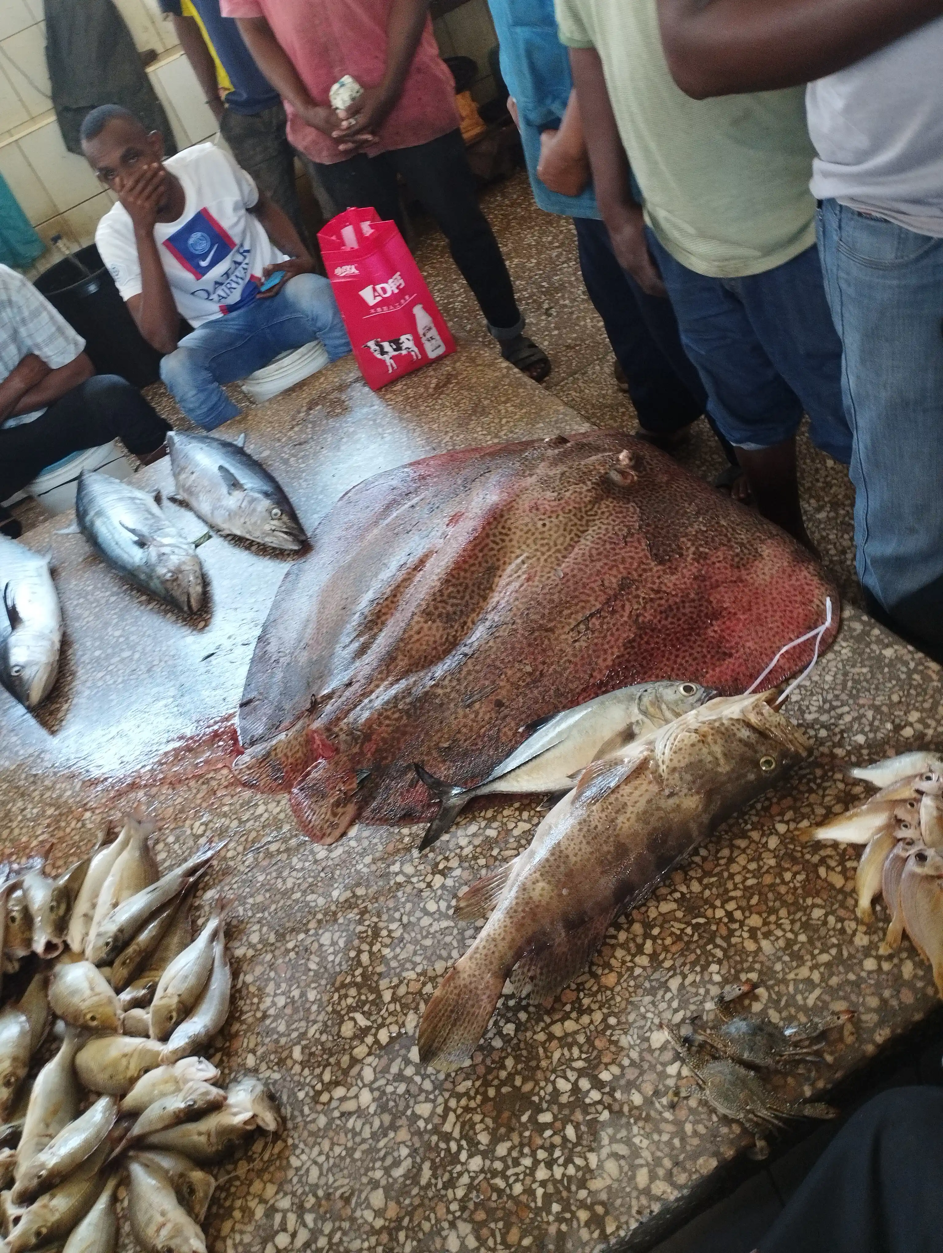 Scopri la Magia di Stone Town photo